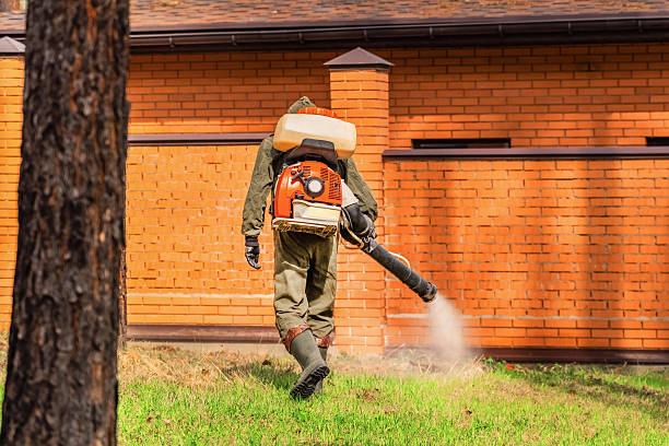 Bed Bug Clearance Verification and Documentation in Lookout Mountain